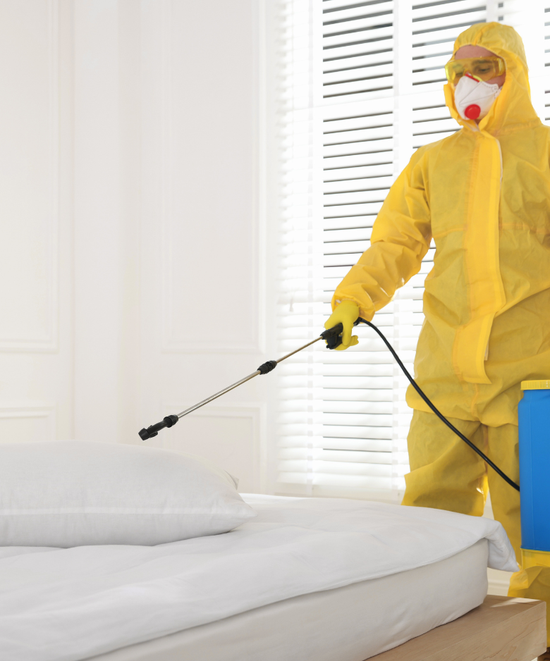 Professional Pest Control Team in Northgate